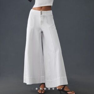 Pilcro Corset High Rise Culotte Jeans size 28